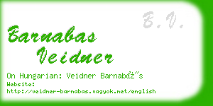 barnabas veidner business card